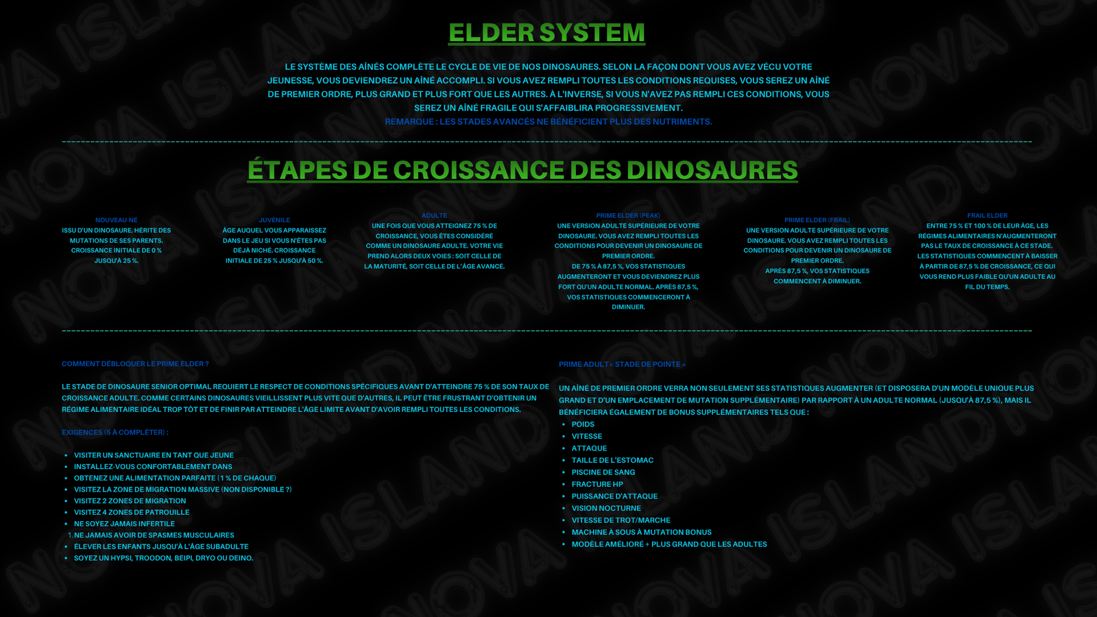 Guide 4