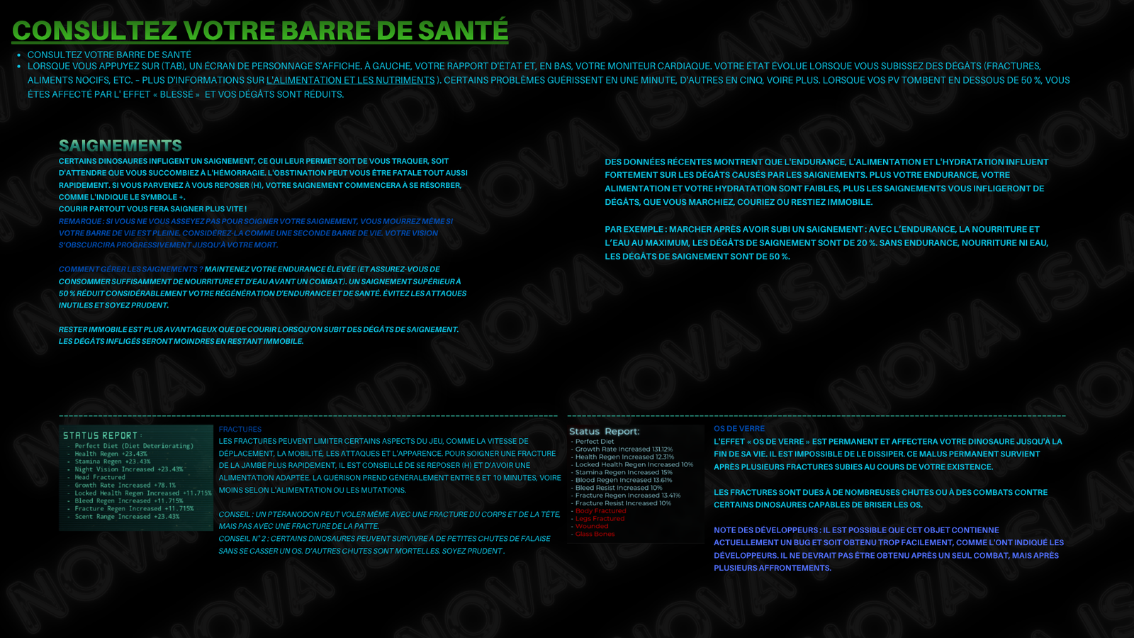 Guide 3
