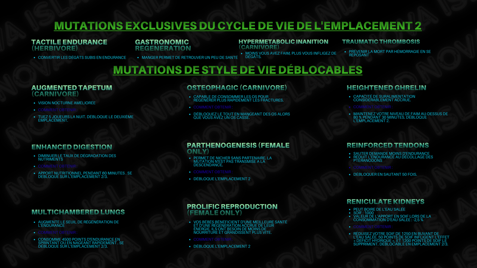 Guide 6